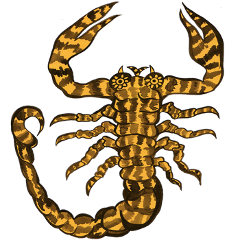 inscription 176d962f7acc4e2089f2cc02eab97f9386ce77e41bee0f413b515afb68fe42e4i0