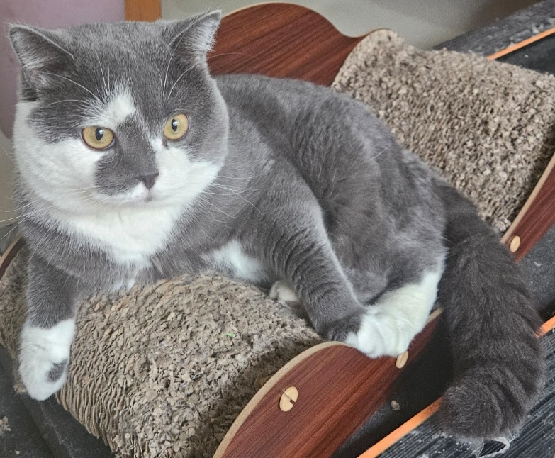 inscription 24c3384aad40b27bdae3ee8372410275c7dde1569fa72d33a850b56e4c16cd4fi0