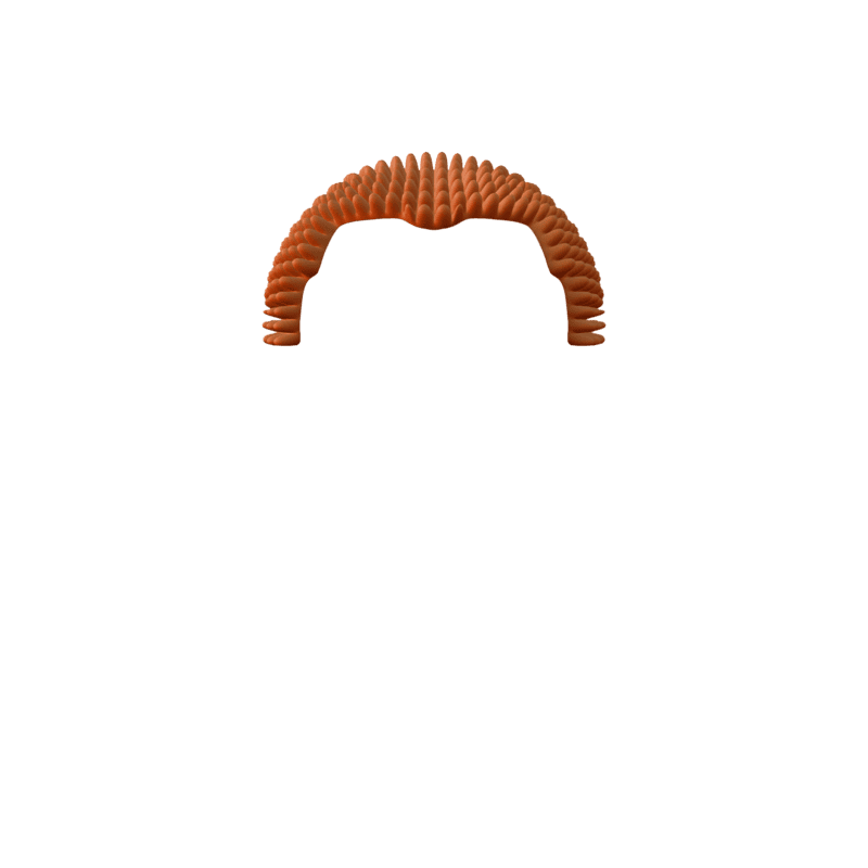 inscription 26e78b0fc64b4951e5cd1ad1830b7d9f33a8c4ec514f1bee0f14e4dcc7f90cdai0