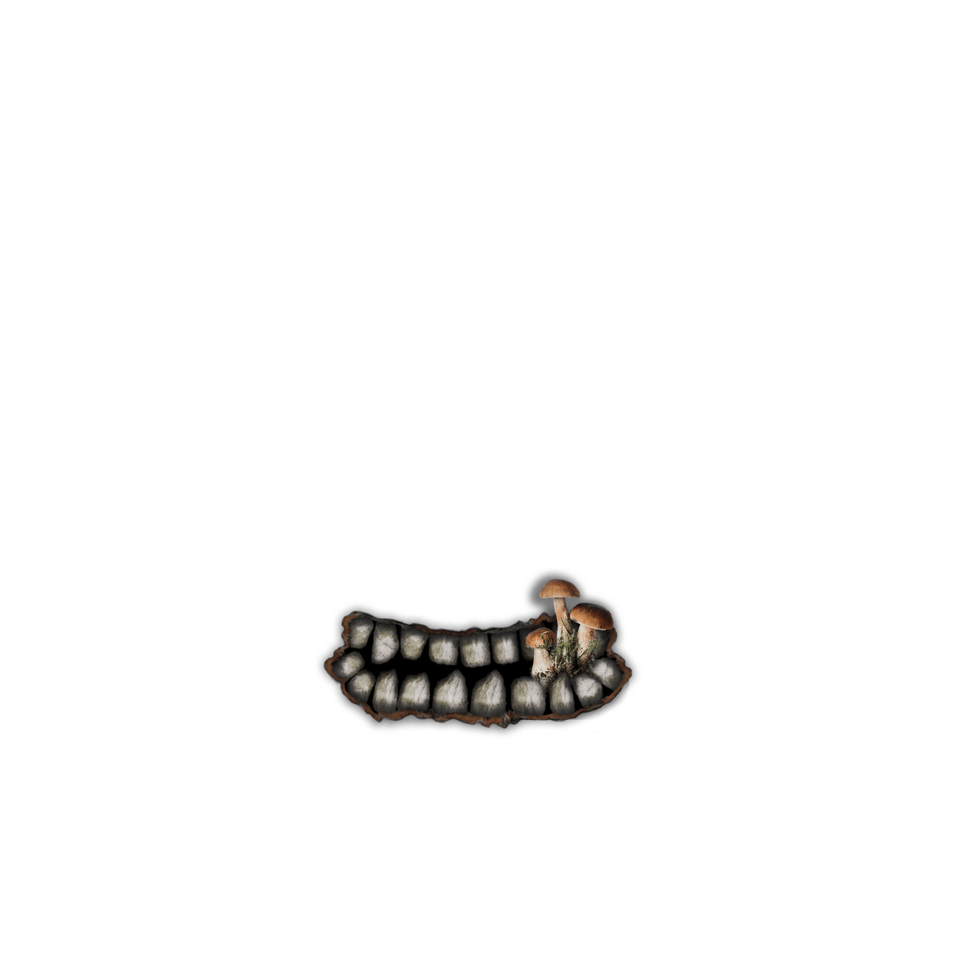 inscription 8119aa2dbe05de46aac3b41ce41b4dbf9c04e4e4f05f4bd4451e46faa8aecb15i2